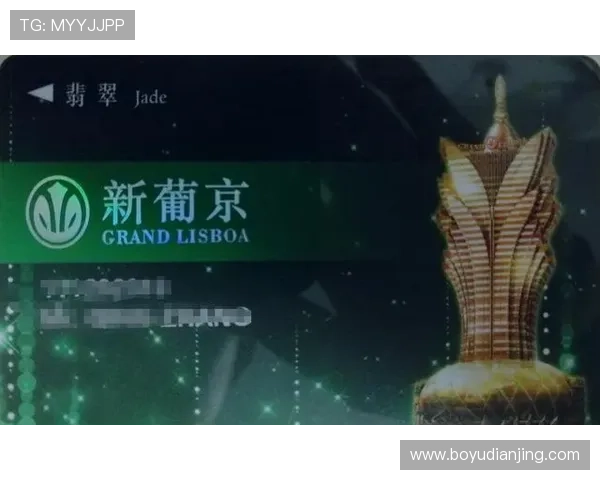澳门新葡京娱乐城网站最新优惠活动全面解析助你轻松赢取丰厚奖金
